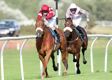 gg co uk tips|Today’s Racecards .